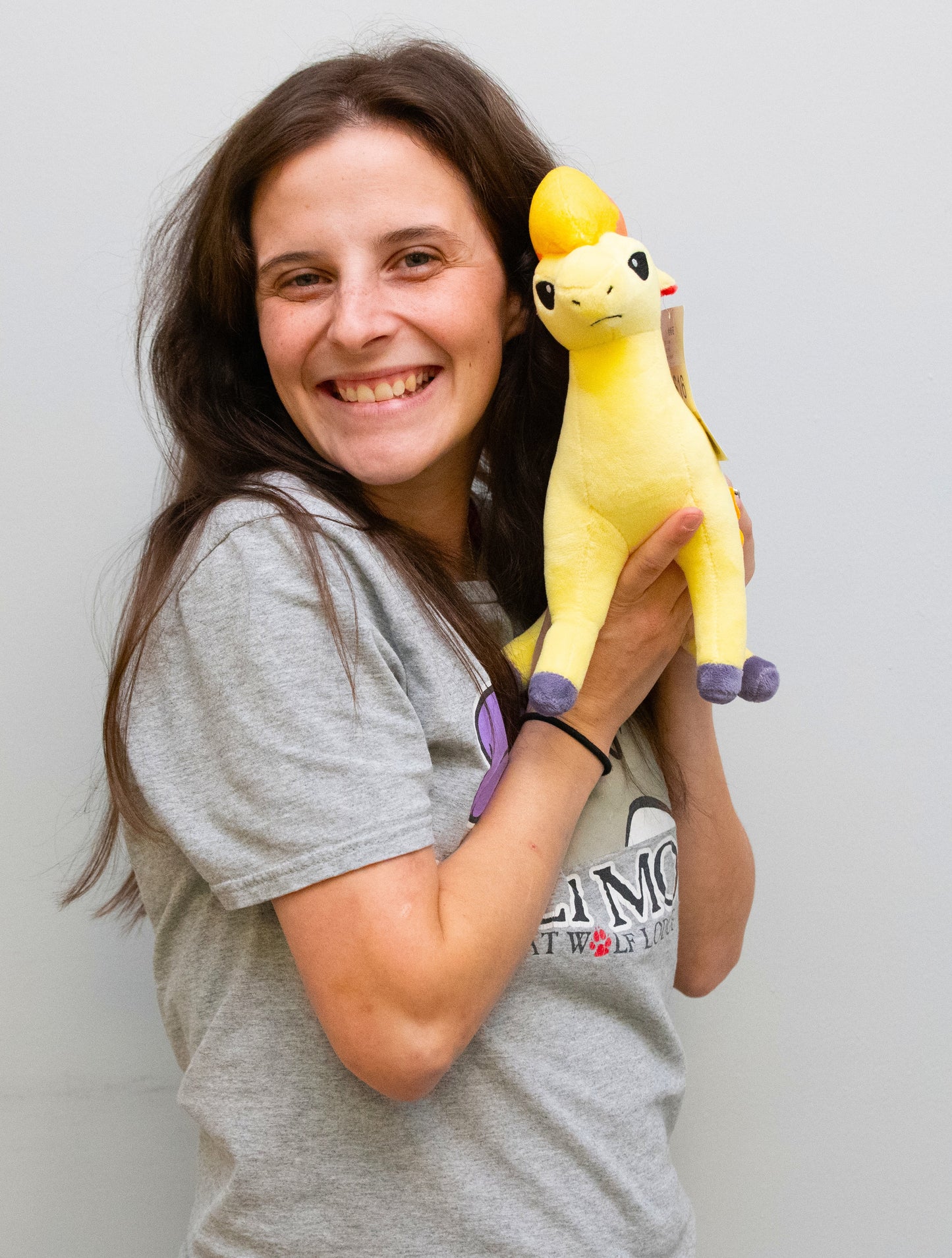 Ponyta Plushie